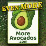 EvenMore Logo